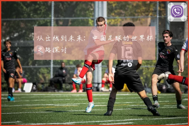 从出线到未来：中国足球的世界杯之路探讨
