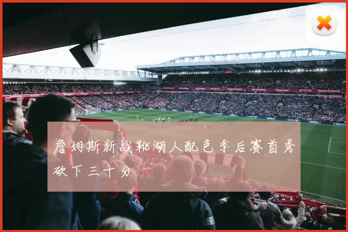 詹姆斯新战靴湖人配色季后赛首秀砍下三十分
