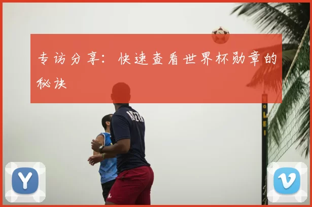 专访分享:快速查看世界杯勋章的秘诀