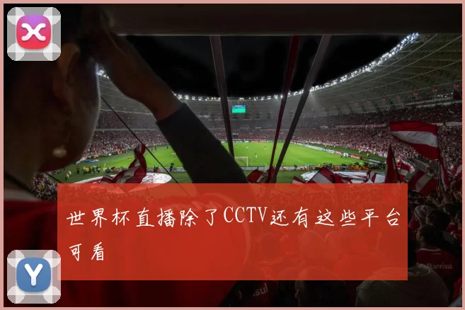 世界杯直播除了CCTV还有这些平台可看