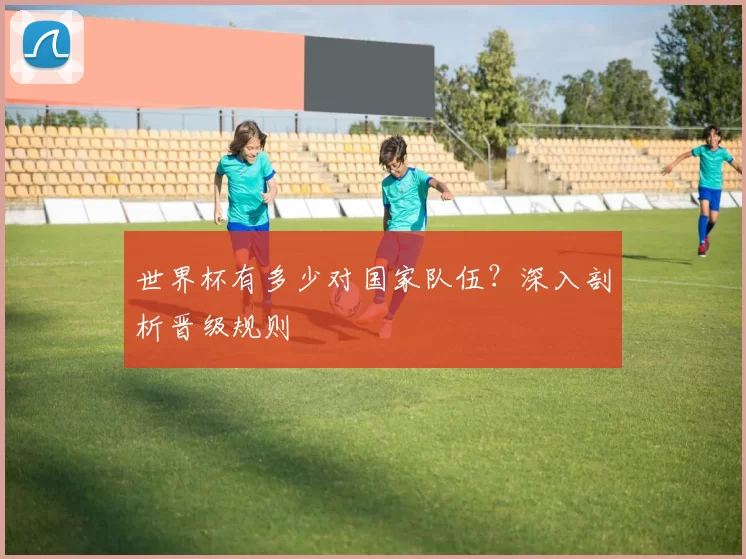 世界杯有多少对国家队伍？深入剖析晋级规则