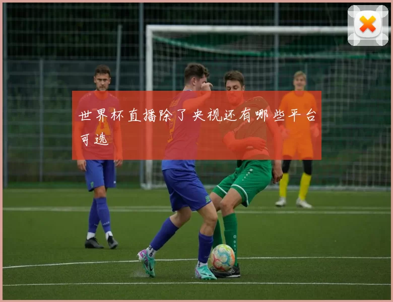 世界杯直播除了央视还有哪些平台可选