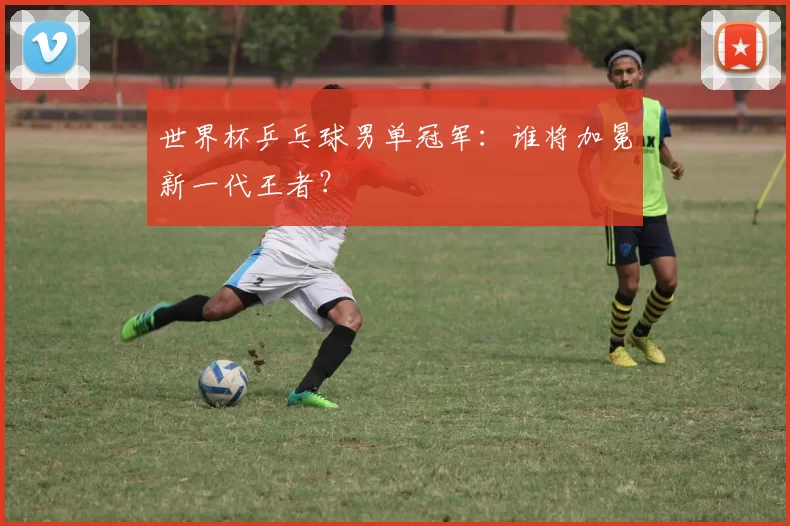 世界杯乒乓球男单冠军：谁将加冕新一代王者？