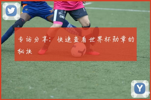 专访分享:快速查看世界杯勋章的秘诀