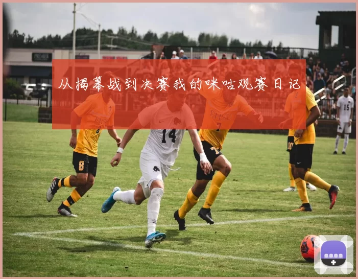 从揭幕战到决赛我的咪咕观赛日记
