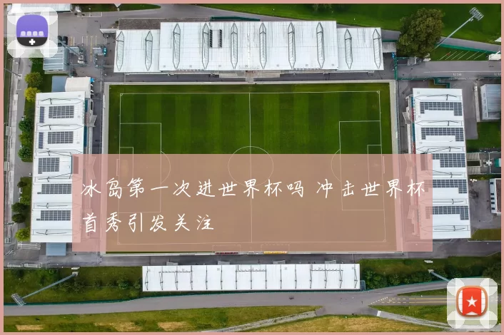 冰岛第一次进世界杯吗 冲击世界杯首秀引发关注