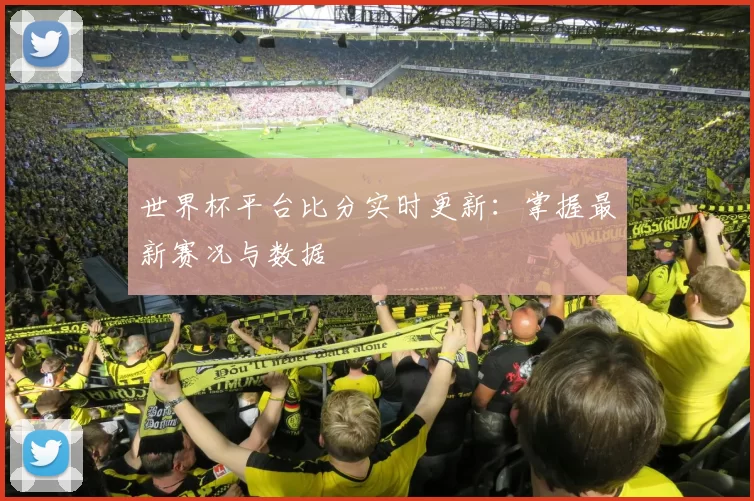 世界杯平台比分实时更新:掌握最新赛况与数据