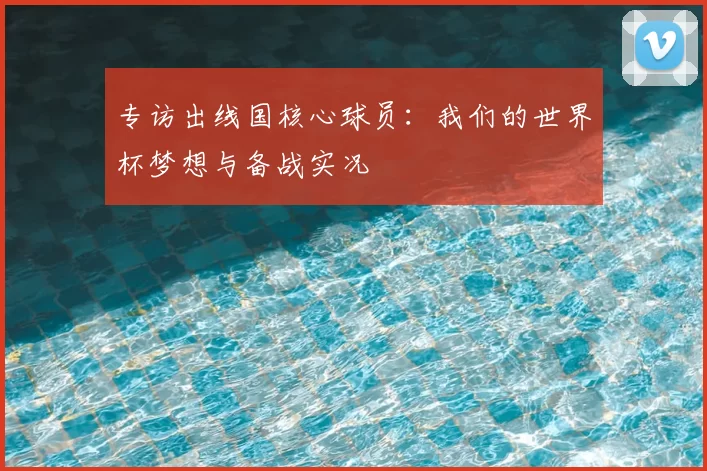 专访出线国核心球员:我们的世界杯梦想与备战实况