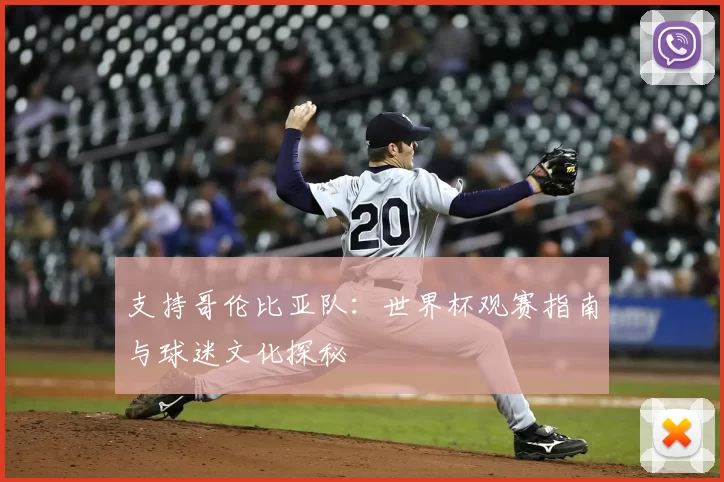 支持哥伦比亚队：世界杯观赛指南与球迷文化探秘